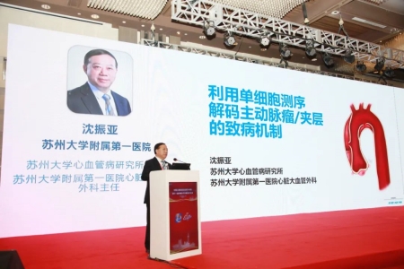 蘇州大學(xué)心血管病研究所所長(zhǎng)、蘇州大學(xué)附屬第一醫(yī)院心臟大血管外科主任沈振亞教授作報(bào)告